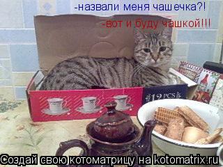 Котоматрица: -назвали меня чашечка?! -вот и буду чашкой!!!