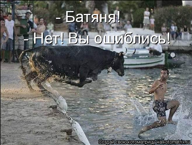 Котоматрица: - Батяня! - Нет! Вы ошиблись!