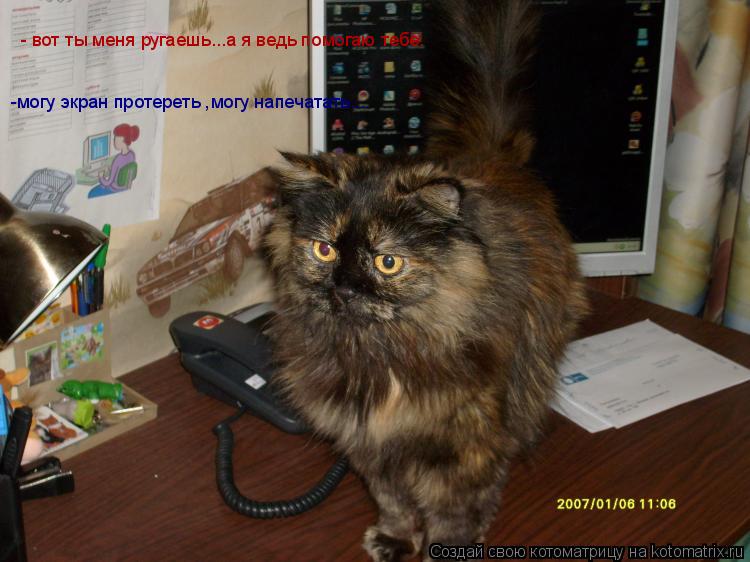 Котоматрица: - вот ты меня ругаешь...а я ведь помогаю тебе. -могу экран протереть ,могу напечатать...