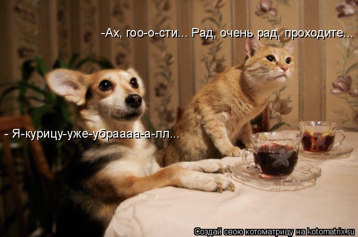 Котоматрица: -Ах, гоо-о-сти... Рад, очень рад, проходите... - Я-курицу-уже-убраааа-а-лл...