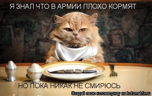 Котоматрица: Я ЗНАЛ ЧТО В АРМИИ ПЛОХО КОРМЯТ НО ПОКА НИКАК НЕ СМИРЮСЬ