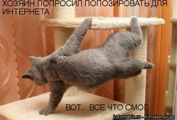 Котоматрица: ХОЗЯИН ПОПРОСИЛ ПОПОЗИРОВАТЬ ДЛЯ ИНТЕРНЕТА ВОТ... ВСЕ ЧТО СМОГ