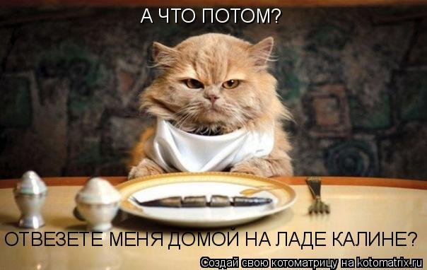 Котоматрица: А ЧТО ПОТОМ? ОТВЕЗЕТЕ МЕНЯ ДОМОЙ НА ЛАДЕ КАЛИНЕ?