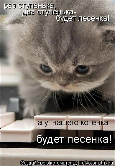 Котоматрица: раз ступенька, два ступенька- будет лесенка! а у  нашего котенка- будет песенка!