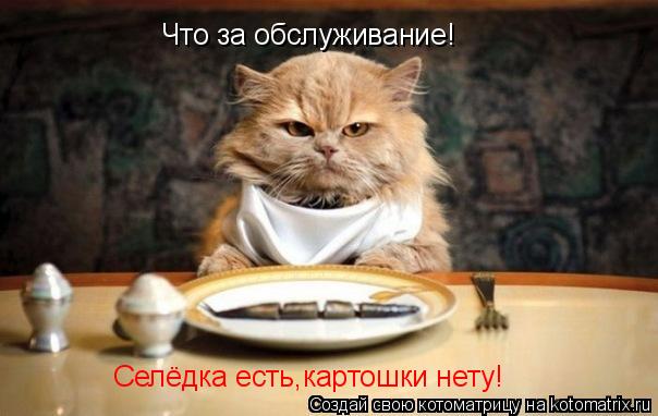 Котоматрица: Что за обслуживание! Селёдка есть,картошки нету!