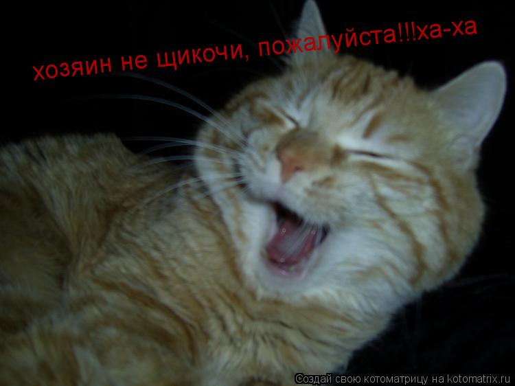 Котоматрица: хозяин не щикочи, пожалуйста!!!ха-ха