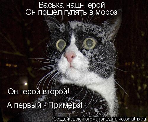 Котоматрица: Васька наш-Герой Он пошёл гулять в мороз Он герой второй! А первый - Примёрз!