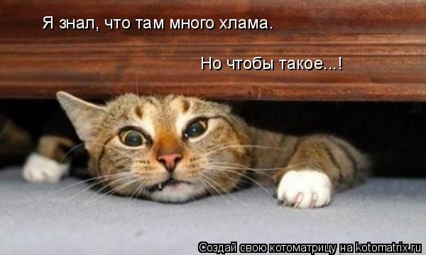 Котоматрица: Я знал, что там много хлама. Но чтобы такое...!