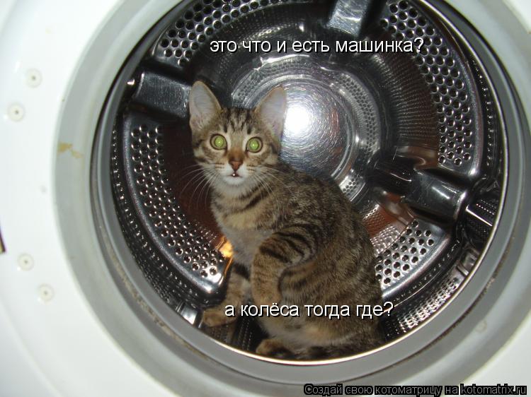Котоматрица: это что и есть машинка? а колёса тогда где?