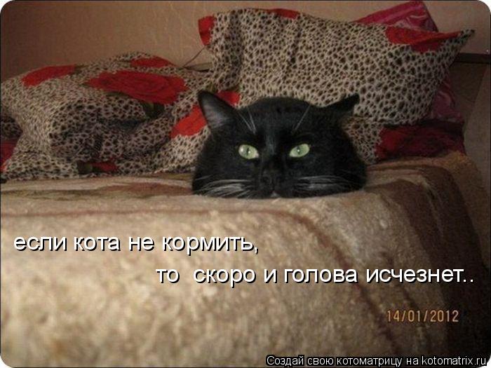 Котоматрица: если кота не кормить, то  скоро и голова исчезнет..