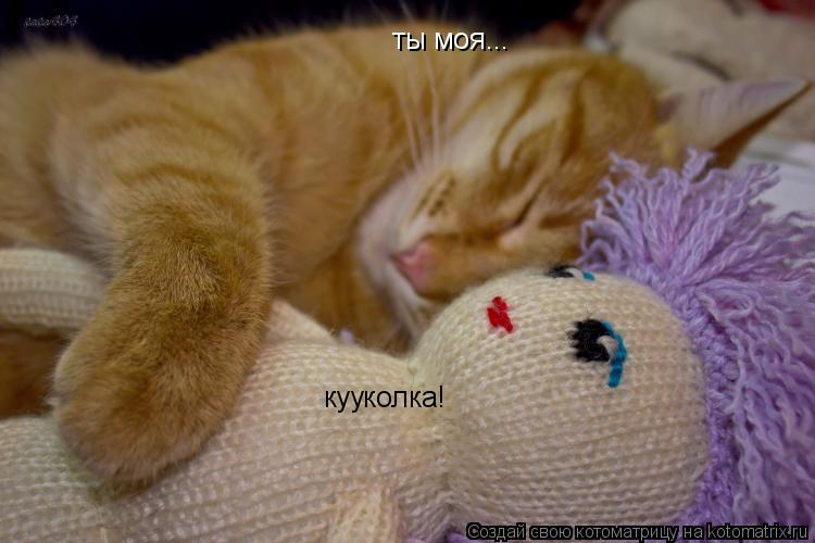 Котоматрица: ты моя... кууколка!