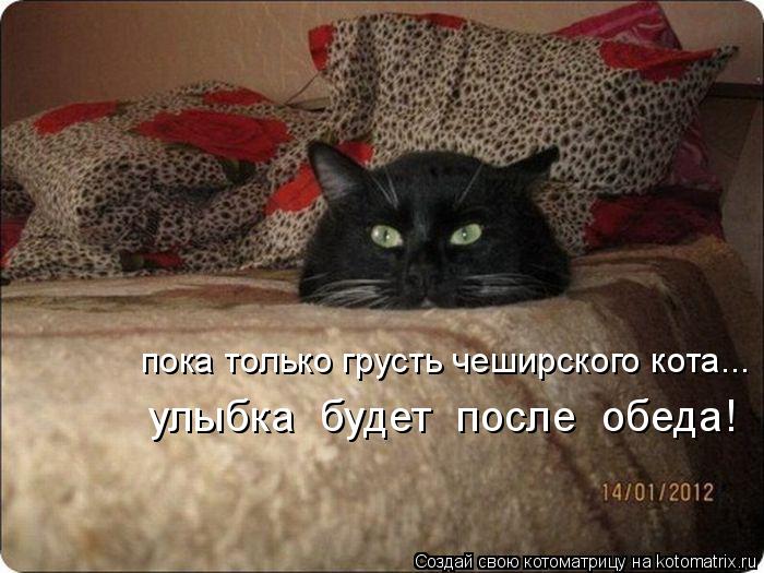 Котоматрица: пока только грусть чеширского кота... улыбка  будет  после  обеда!