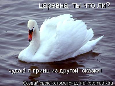 Котоматрица: царевна, ты что ли? чудак! я принц из другой  сказки!