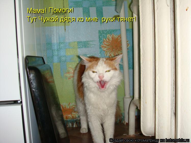 Котоматрица: Мама! Помоги! Тут Чужой дядя ко мне  руки тянет!