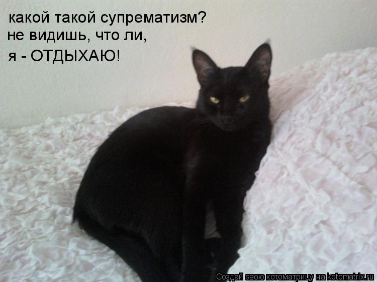 Котоматрица: какой такой супрематизм? не видишь, что ли, я - ОТДЫХАЮ!