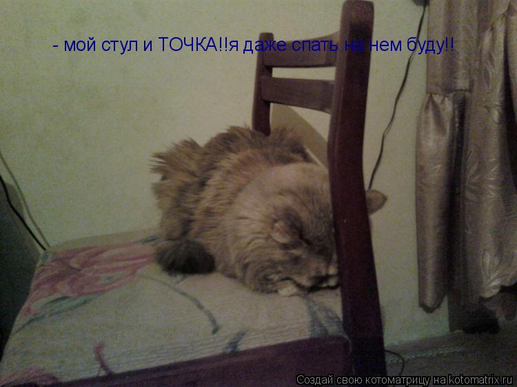 Котоматрица: - мой стул и ТОЧКА!!я даже спать на нем буду!!