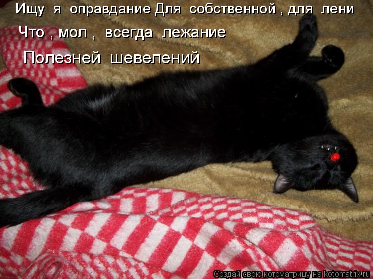 Котоматрица: Ищу  я  оправдание Для  собственной , для  лени   Что , мол ,  всегда  лежание   Полезней  шевелений