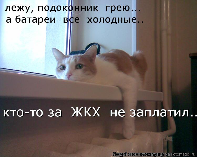 Котоматрица: лежу, подоконник  грею... а батареи  все  холодные.. кто-то за  ЖКХ  не заплатил...