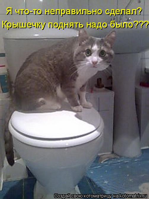 Котоматрица: Я что-то неправильно сделал? Крышечку поднять надо было???