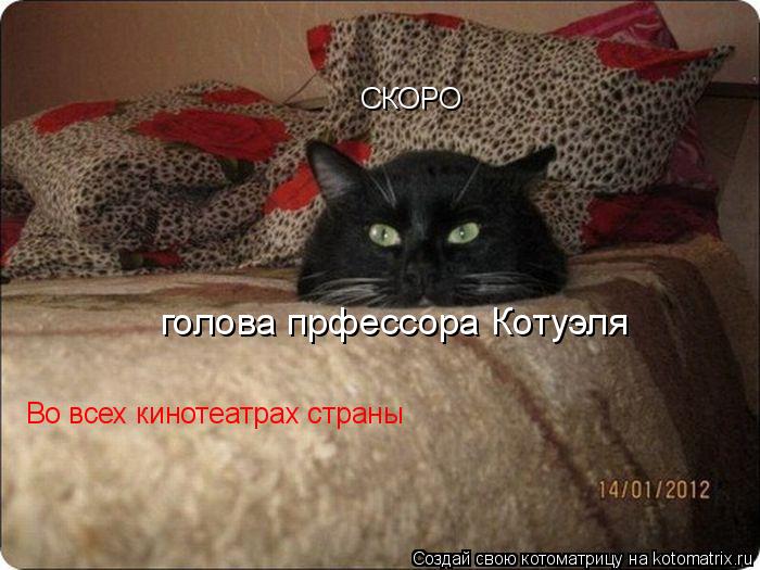 Котоматрица: голова прфессора Котуэля СКОРО Во всех кинотеатрах страны