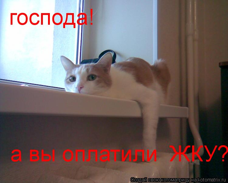 Котоматрица: господа! а вы оплатили  ЖКУ?