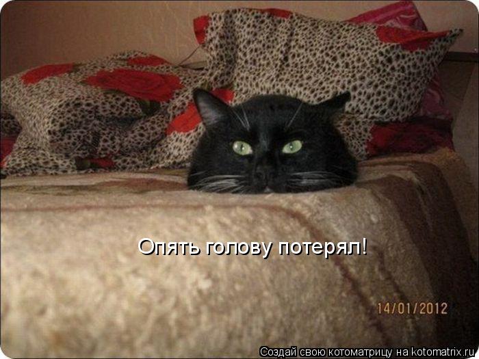 Котоматрица: Опять голову потерял!