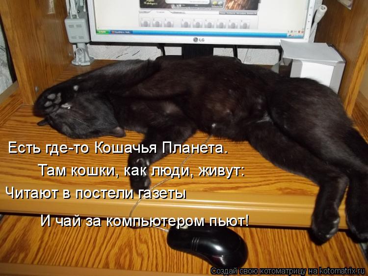 Котоматрица: Есть где-то Кошачья Планета. Там кошки, как люди, живут: Читают в постели газеты И чай за компьютером пьют!