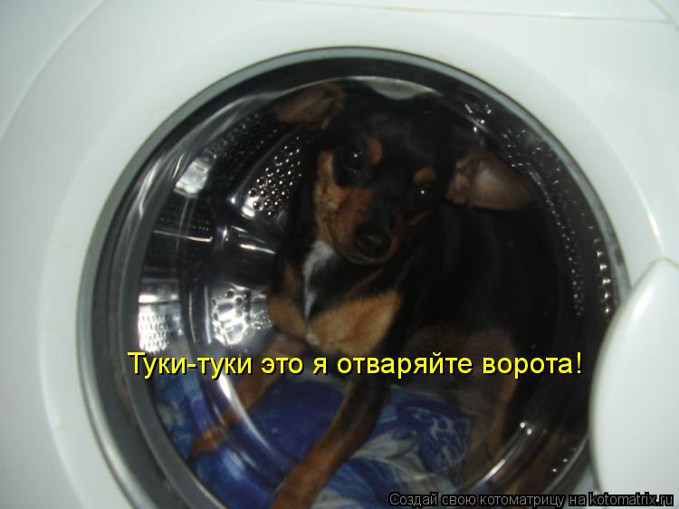 Котоматрица: Туки-туки это я отваряйте ворота!