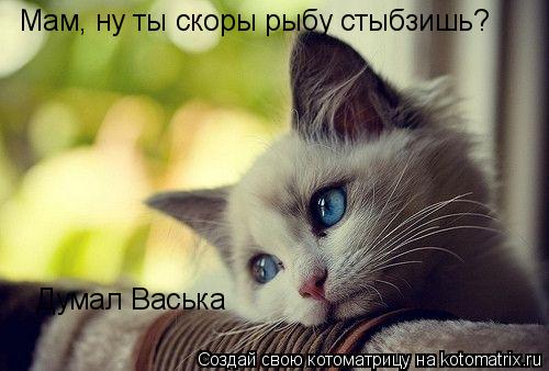 Котоматрица: Мам, ну ты скоры рыбу стыбзишь?  Думал Васька