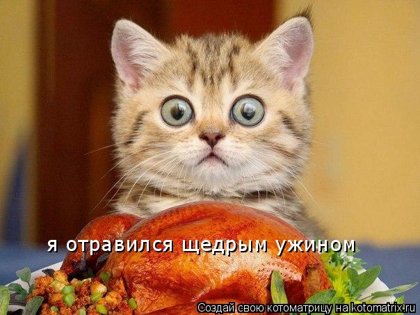 Котоматрица: я отравился щедрым ужином