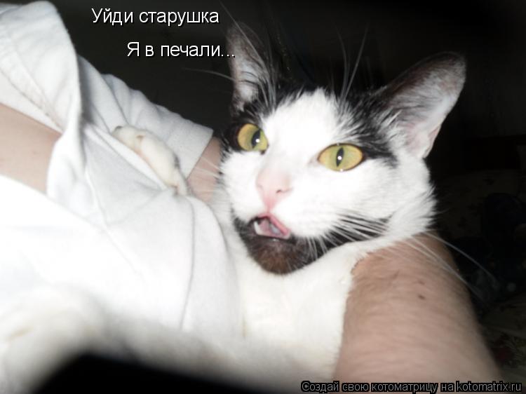 Котоматрица: Уйди старушка Я в печали...