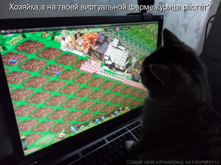 Котоматрица: Хозяйка,а на твоей виртуальной ферме курица растёт?