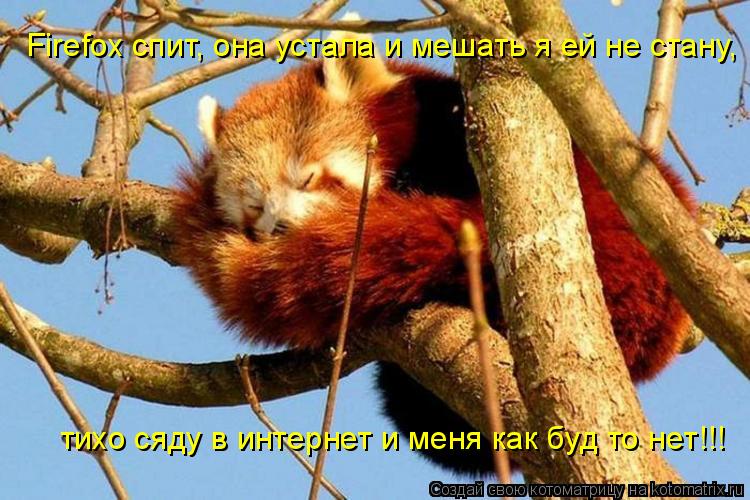 Котоматрица: Firefox спит, она устала и мешать я ей не стану, тихо сяду в интернет и меня как буд то нет!!!
