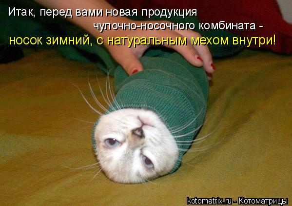 Котоматрица: Итак, перед вами новая продукция  чулочно-носочного комбината -  носок зимний, с натуральным мехом внутри!