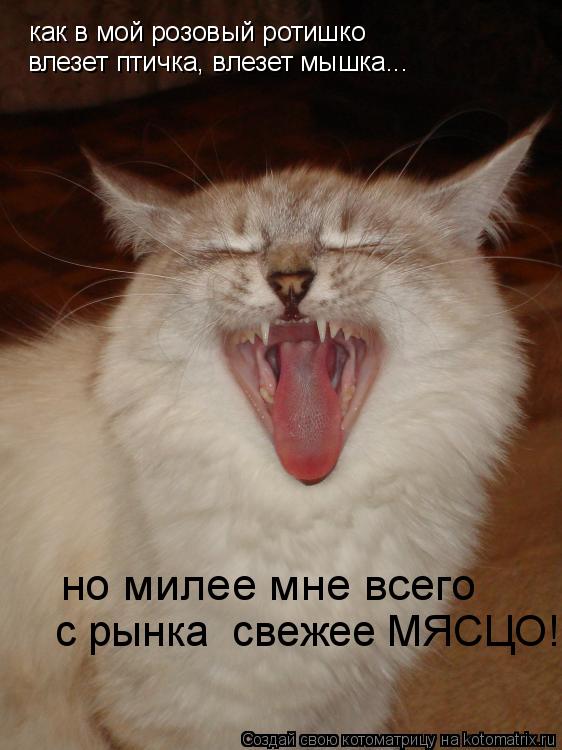 Котоматрица: как в мой розовый ротишко влезет птичка, влезет мышка... с рынка  свежее МЯСЦО! но милее мне всего