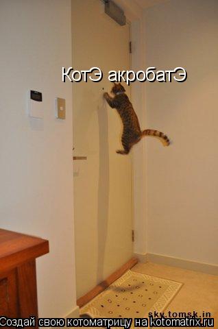 Котоматрица: КотЭ акробатЭ