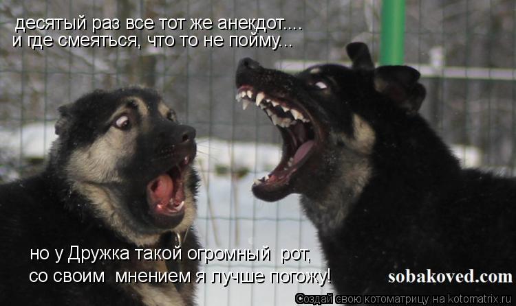 Котоматрица: десятый раз все тот же анекдот.... и где смеяться, что то не пойму... но у Дружка такой огромный  рот, со своим  мнением я лучше погожу!