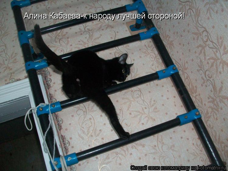 Котоматрица: Алина Кабаева-к народу лучшей стороной!