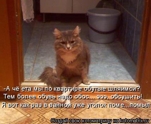 Котоматрица: -А чё ета мы по квартире обутые шляимси? Тем более обувь надо обос... эээ, обсушить! Я вот как раз в ванной уже уголок поме...помыл.