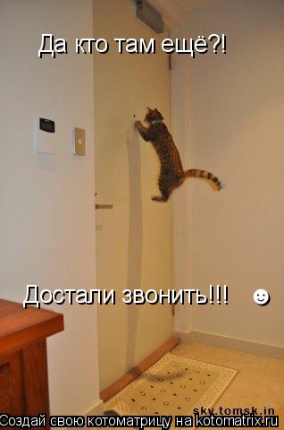 Котоматрица: Да кто там ещё?! Достали звонить!!!   &#9787;