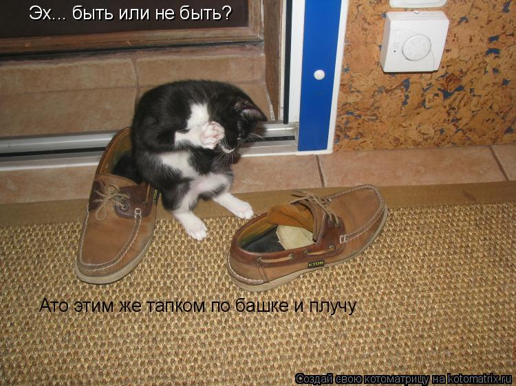 Котоматрица: Эх... быть или не быть? Ато этим же тапком по башке и плучу