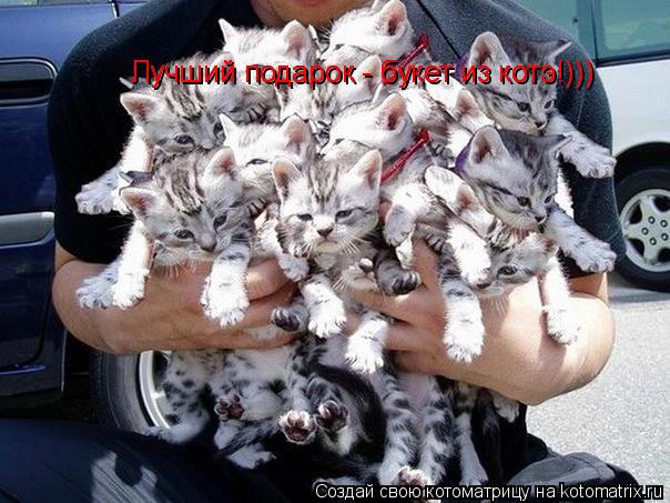 Котоматрица: Лучший подарок - букет из котэ!))) Лучший подарок - букет из котэ!))) Лучший подарок - букет из котэ!)))