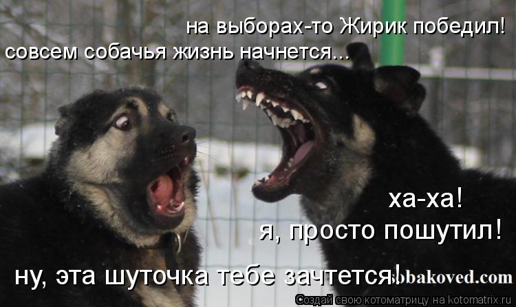 Котоматрица: на выборах-то Жирик победил! совсем собачья жизнь начнется... ха-ха! я, просто пошутил! ну, эта шуточка тебе зачтется!