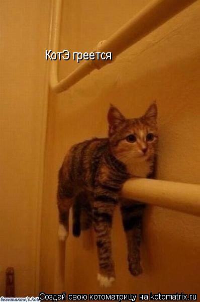Котоматрица: КотЭ греется