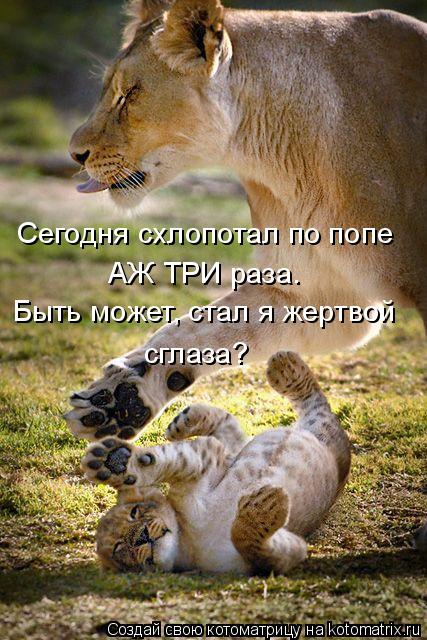 Котоматрица: Сегодня схлопотал по попе АЖ ТРИ раза. Быть может, стал я жертвой сглаза?