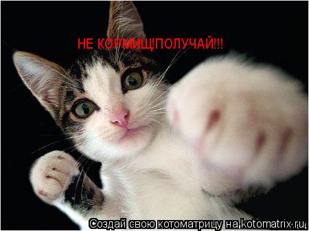 Котоматрица: НЕ КОРМИЩ!ПОЛУЧАЙ!!!