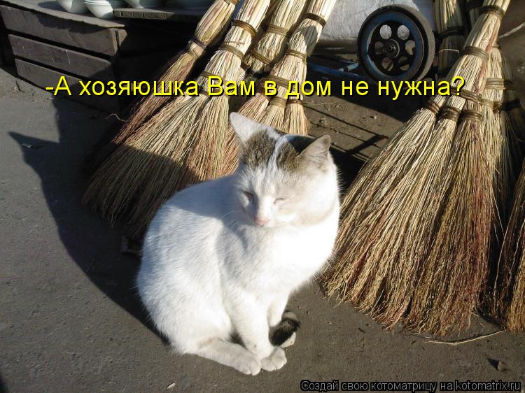 Котоматрица: -А хозяюшка Вам в дом не нужна?
