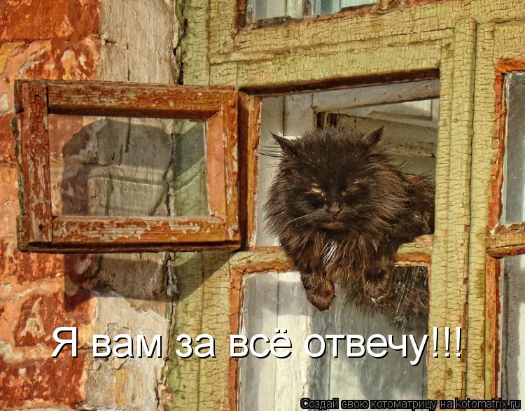 Котоматрица: Я вам за всё отвечу!!!