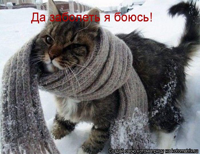 Котоматрица: Да заболеть я боюсь!