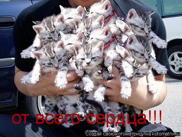 Котоматрица: от всего сердца!!!
